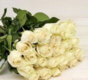 Букет из 25 белых роз "Вайт Эквадор" (70 см.)