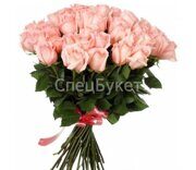 Букет из 51 нежно розовой розы "Пинк Эквадор" (70 см.)