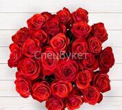 Букет из 25 красных роз "Ред Фридом Эквадор" (50 см.)